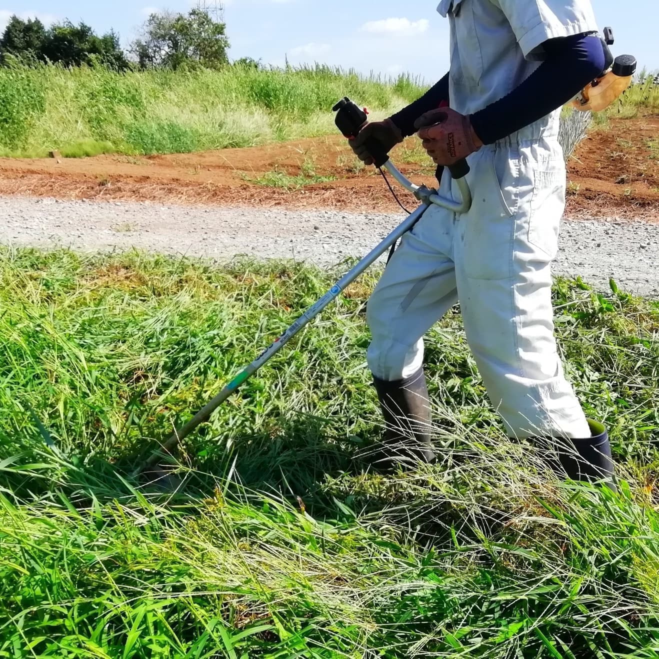 草刈り 岡崎市 | 岡崎市で草刈りならお庭の窓口岡崎市