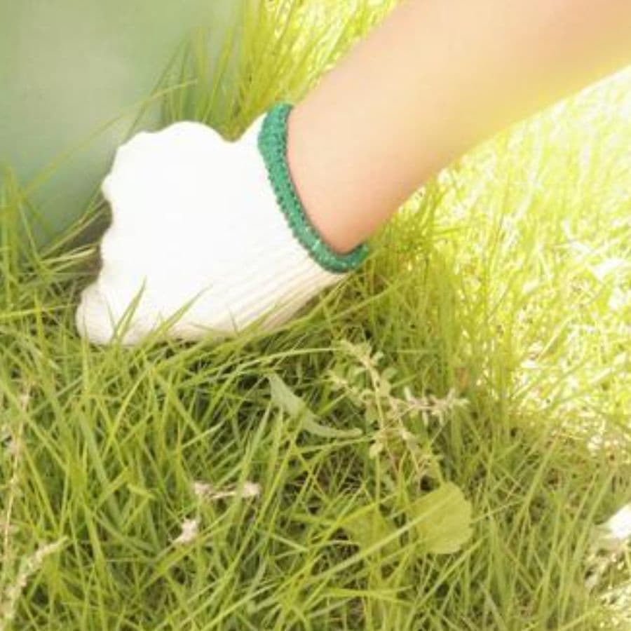 草取り 岡崎市 | 岡崎市で草取りならお庭の窓口岡崎市