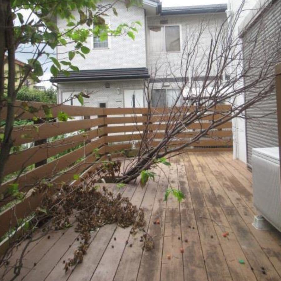 倒木撤去 岡崎市 | 岡崎市で庭木の倒木撤去ならお庭の窓口岡崎市