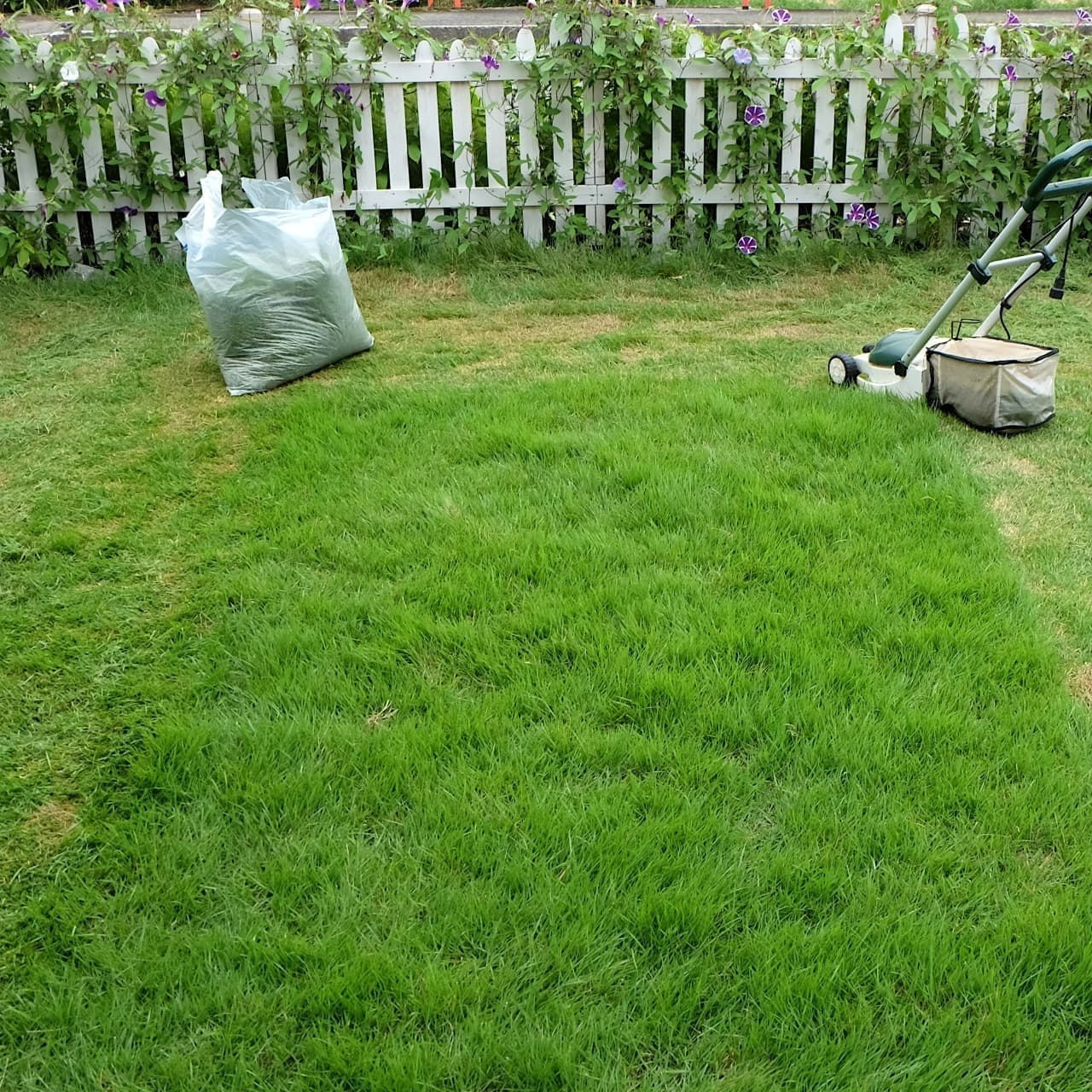 芝生の手入れ 岡崎市 | 岡崎市で芝生の手入れならお庭の窓口岡崎市