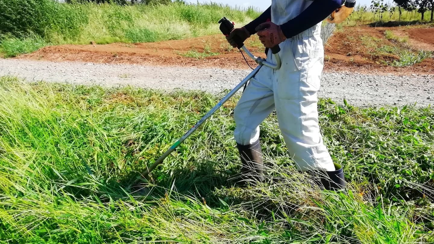 草刈り 岡崎市 | 岡崎市で草刈りならお庭の窓口岡崎市