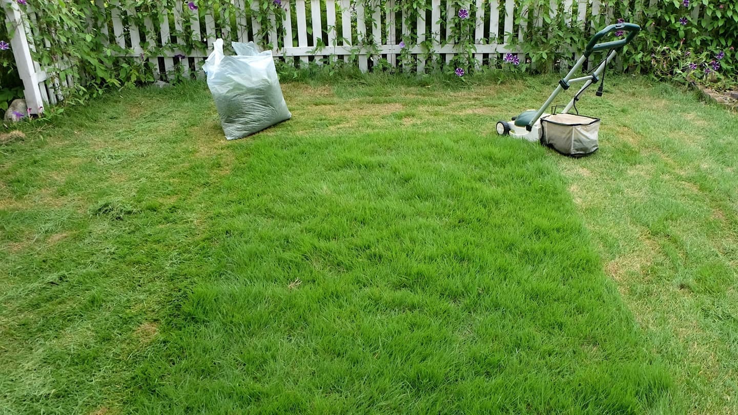芝生の手入れ 岡崎市 | 岡崎市で芝生の手入れならお庭の窓口岡崎市
