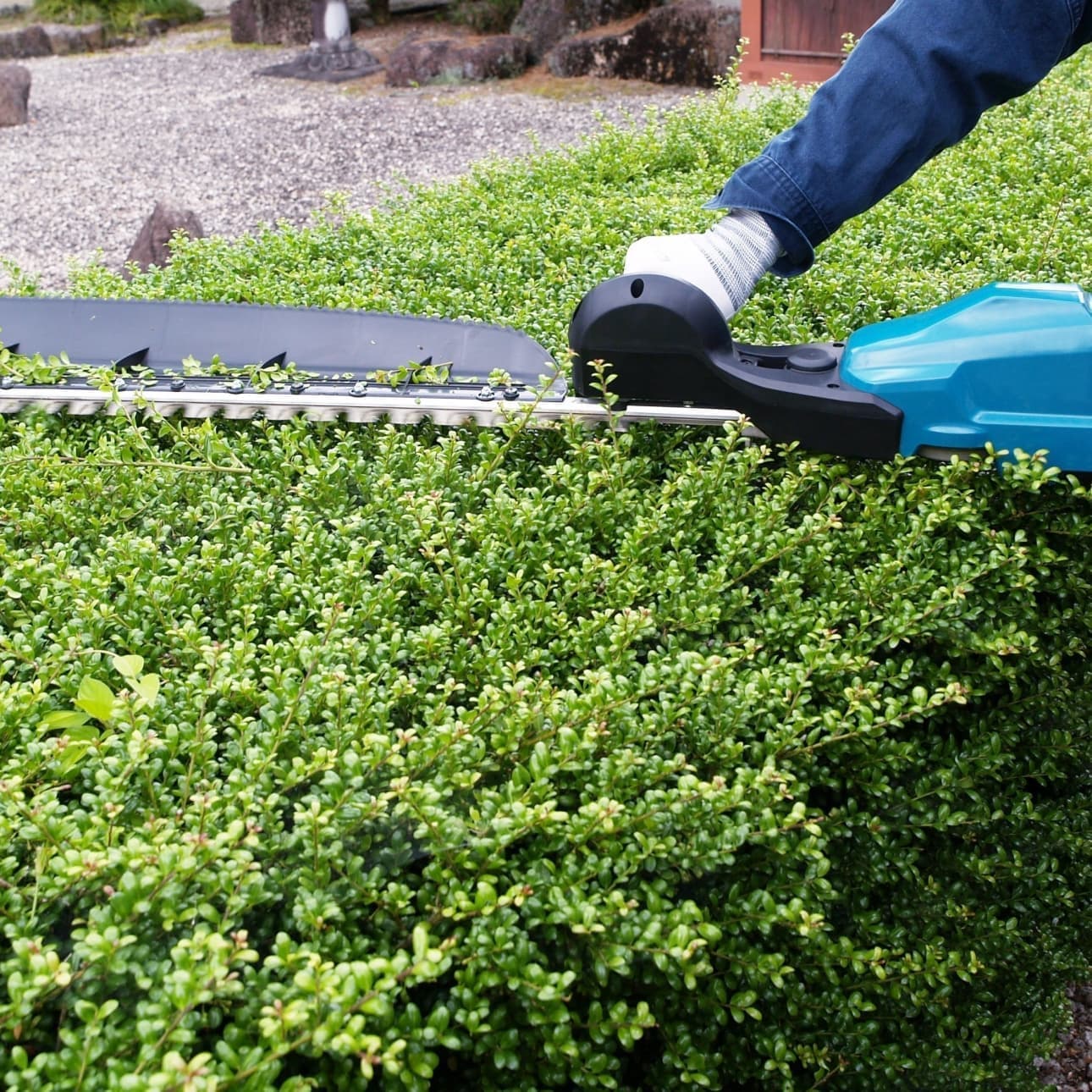 植込み剪定 岡崎市 | 岡崎市で庭木の植込み剪定ならお庭の窓口岡崎市