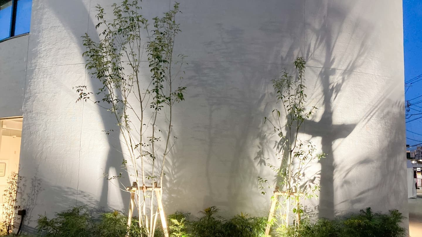 庭木の植栽 岡崎市 | 岡崎市で庭木の植栽ならお庭の窓口岡崎市