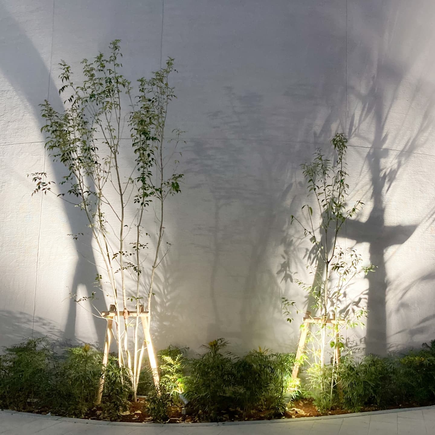 庭木の植栽 岡崎市 | 岡崎市で庭木の植栽ならお庭の窓口岡崎市