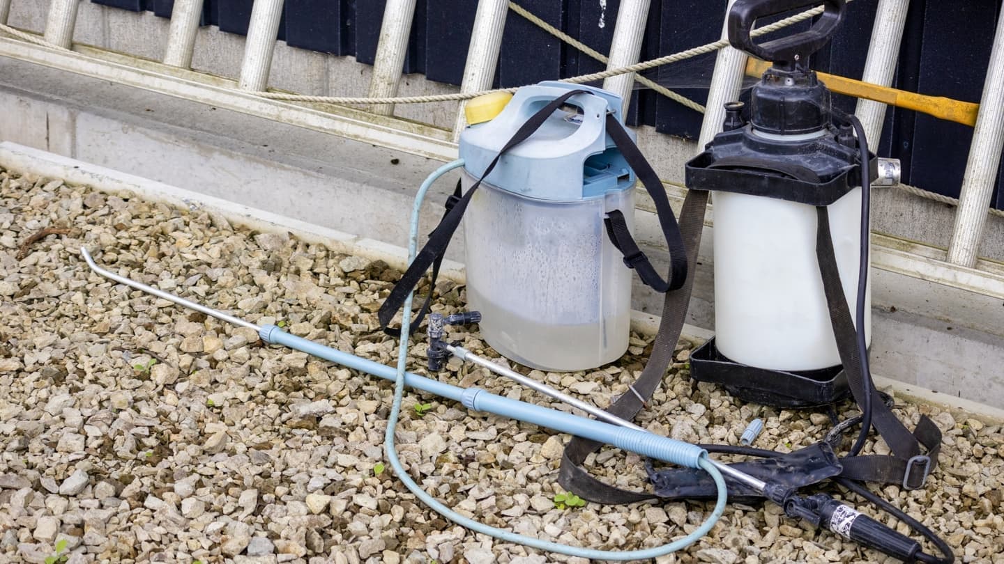 庭木の消毒・害虫対策 岡崎市 | 岡崎市で庭木の消毒・害虫対策ならお庭の窓口岡崎市