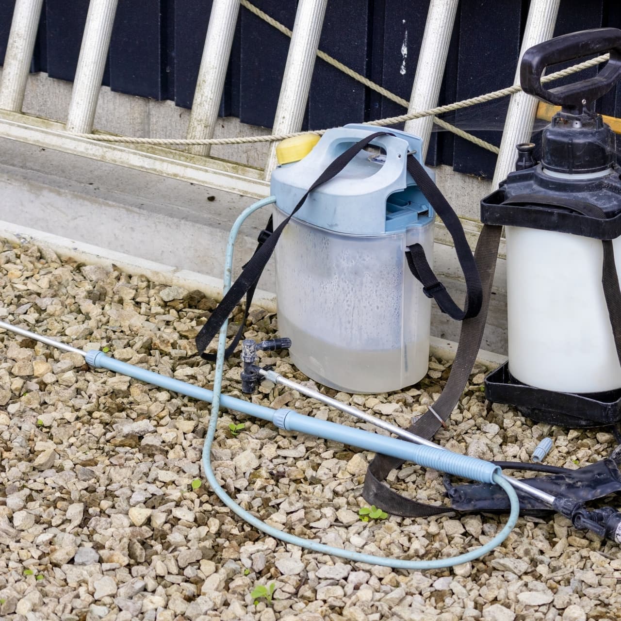 庭木の消毒・害虫対策 岡崎市 | 岡崎市で庭木の消毒・害虫対策ならお庭の窓口岡崎市